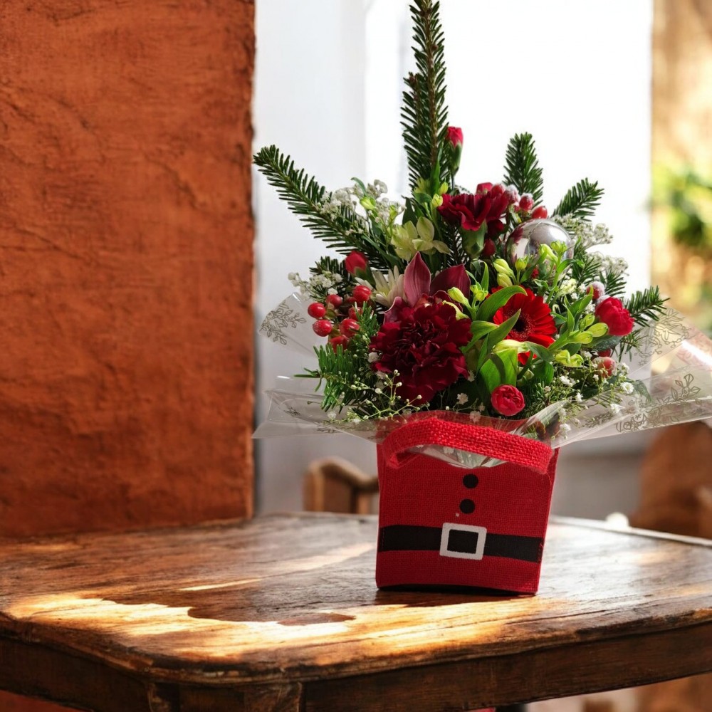 Festive Visit