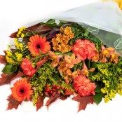 Autumn Gift